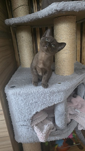 Бурма (1 фото из 3)