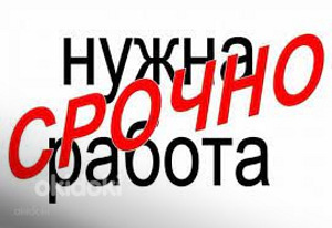 Ищу работу! (1 фото из 1)