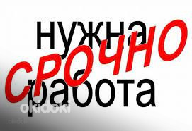 Ищу работу!