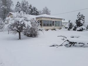 Minipriidu, Tolla, Rapla vald, Raplamaa (2 foto / 14)