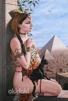Egiptuse Cleopatra massaaž (foto #1)