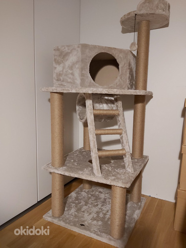 Новый домик для кошки / Uus kassimaja (фото #1)