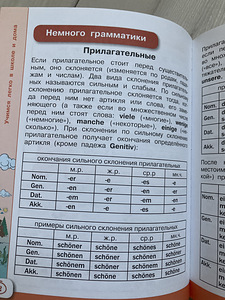 Saksa keel kooliõpilastele (6 foto / 6)
