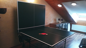 Lauatenniselaud (2 foto / 3)