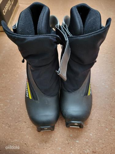 Лыжные ботинки Rossignol 42/43 (фото #1)