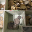 Müntide kollektsioon (foto #5)