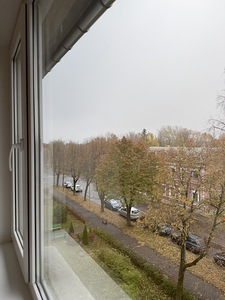 Raudsilla tn 10, Joaoru, Narva, Ida-Virumaa (11 foto / 15)