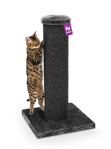 Kraapimispost Savannah 86, valge-hall või must (3 foto / 10)