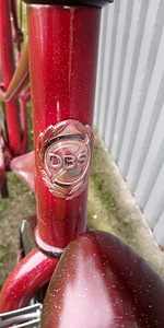 DBS Linna-cruiser mixte (10 foto / 10)