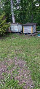 Mesitaru (1 foto / 1)