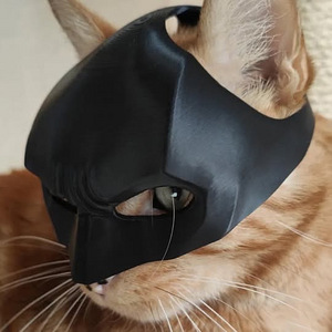Universaalne kassile mõeldud Batman mask