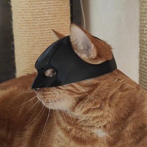 Universaalne kassile mõeldud Batman mask (4 foto / 5)