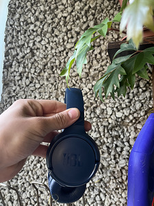 Наушники JBL (1 фото из 2)
