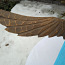 Продаю большого орла. Ширина крыла 71 см, высота 33 см. (фото #4)