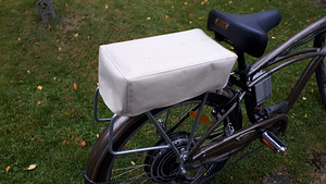 Trek Calypso de Lux raamil elektriratas 1000W (5 foto / 7)