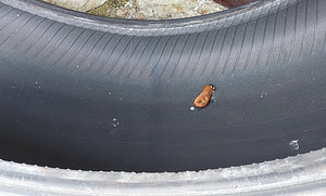 Летние шины Hankook Ventus Prime 3 4,3 мм (7 фото из 7)