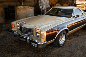 Ford Ranchero Brougham 6.6 V8 BigBlock 124kW (7 foto / 15)