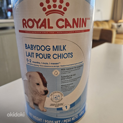 Babydog Milk (foto #2)