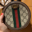 Gucci kott (foto #1)