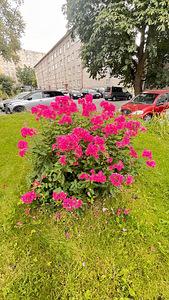 Sõle tn 64, Põhja-Tallinna, Tallinn, Harjumaa (44 foto / 44)
