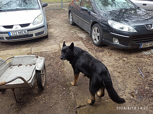 Kudumine tasuta. (2 foto / 3)
