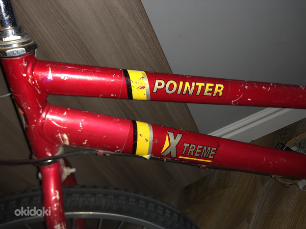 Jalgratas X TremePointer.24 (foto #6)