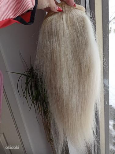 Наращивание волос конский хвост настоящие волосы 55 см 121 грамм (фото #1)