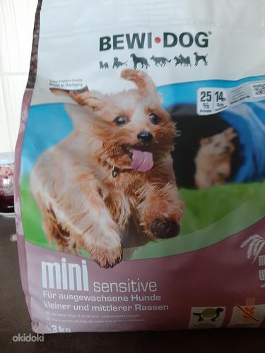 Kuiv toit koerale (foto #1)