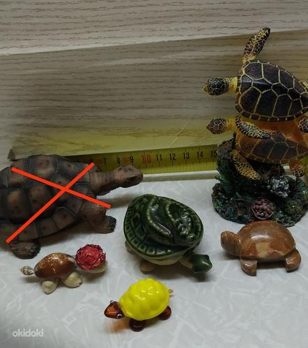 Kilpkonnade kujukesed (foto #1)