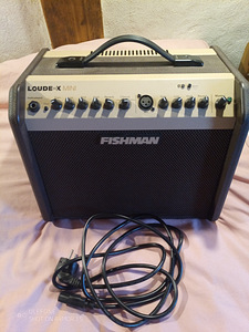 Новая акустическая гитара Fishman Loudbox Mini 60w + сумка