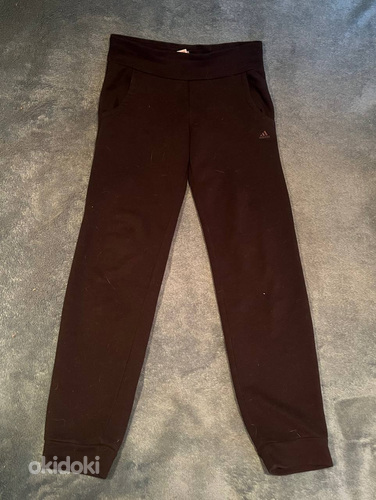 Adidas spordipüksid