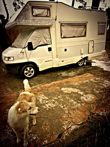 Fiat Ducato (Granduca 56 N) (2 foto / 10)