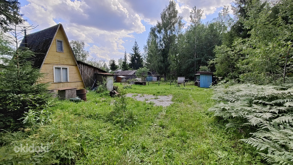 Valgejõe SÜ 24, Auvere, Narva-Jõesuu linn, Ida-Virumaa