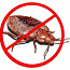 Уничтожение насекомых,тараканы,муравьи, мыши, крысы, осы, (фото #1)