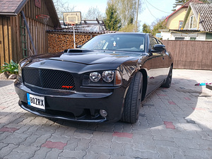Ehtne muskeauto! (6 foto / 6)