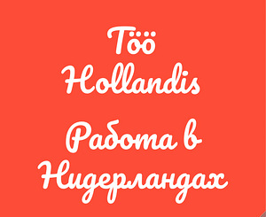 Tellimuste komplekteerija DHL laos Hollandis. Töö Hollandis (1 foto / 1)