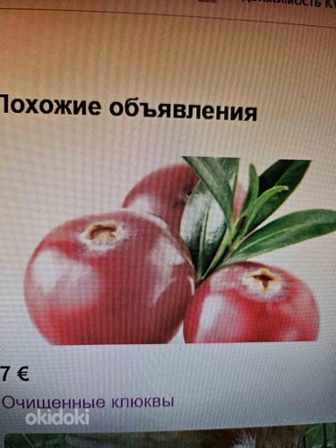 Продам клюкву.