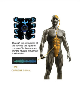 EMS8 Abdominal Muscle Trainer Plate (2 foto / 5)