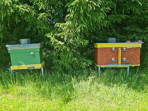 tarude müümine (3 foto / 3)