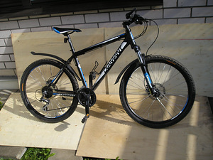 Jalgratas Diamant Zenith 30 (8 foto / 8)