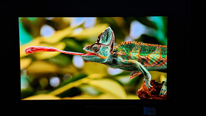 LG OLED65B8PLA teler 65" 4K UHD Smart TV 165,1 cm (3 foto / 9)