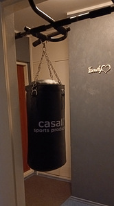 Vähekasutatud poksikott ja kindad Everlast (4 foto / 4)