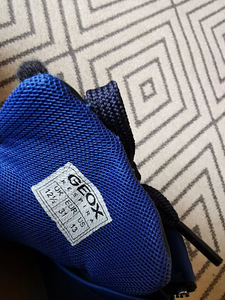 Kingad Geox s. 31 (3 foto / 3)
