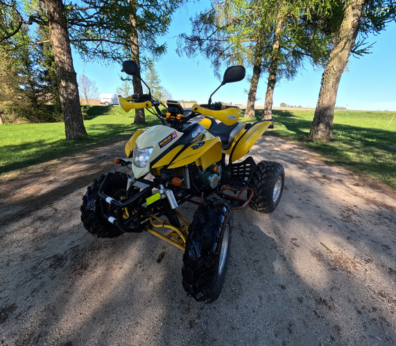 Bashan bs200s-7