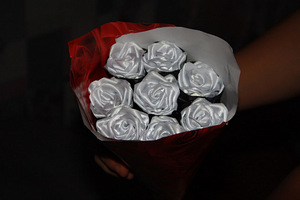Roosid lintidest (3 foto / 7)