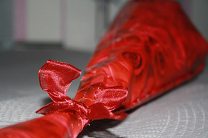Roosid lintidest (5 foto / 7)