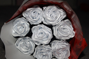 Roosid lintidest (7 foto / 7)