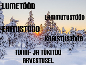 Lumekoristus, koristus, lammutamine ja ehitus (1 foto / 1)