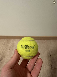 Falmingo koera mänguasi, interaktiivne tennisepall (4 foto / 4)