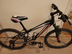 Jalgrattas RTA BOTTECCHIA (1 foto / 2)